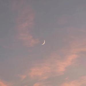 艳星丹尼尔斯吞精视频
